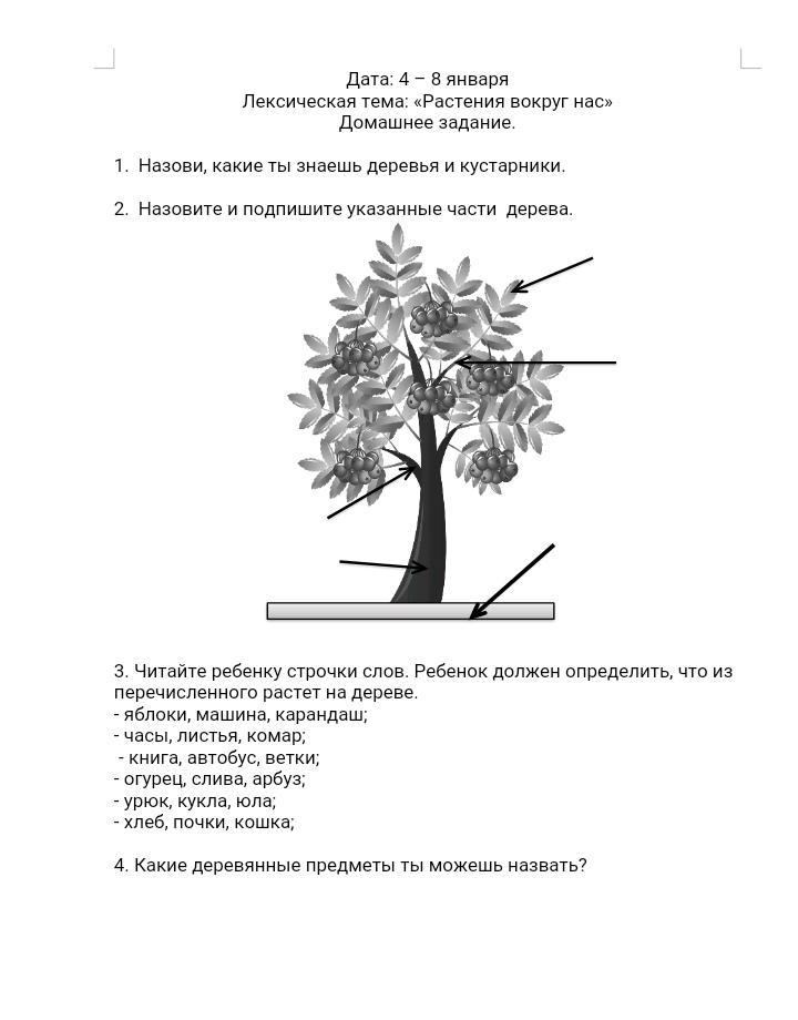 Домашнее задание.Мир растений